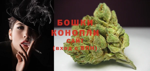 ПСИЛОЦИБИНОВЫЕ ГРИБЫ Балабаново