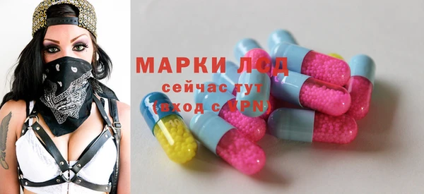 дживик Баксан