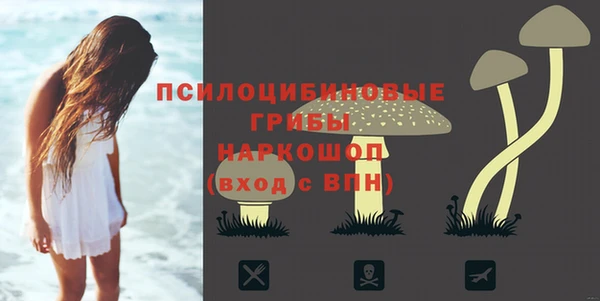 ПСИЛОЦИБИНОВЫЕ ГРИБЫ Балабаново