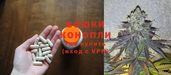 дживик Баксан