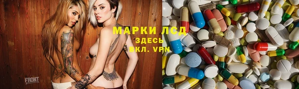 дживик Баксан